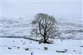 In Pictures: Winter snap brings snow and ice to parts of UK