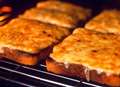 Cheese on toast sparks fire