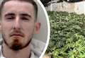 Man jailed after secret cannabis farm hidden behind ‘fake wall’ uncovered