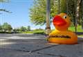 Rubber ducks raising river safety awareness 