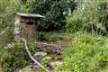 Rewilding garden evoking beaver wetland wins top prize at Chelsea Flower Show