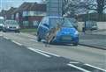 Shock as stag runs into traffic on busy road