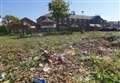 Fears nesting birds disturbed by tree clearance