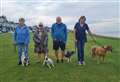 Council apologises as blundering wardens threaten dog walkers with fines
