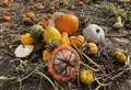 Our pick of Kent’s pumpkin patches