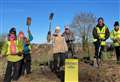 Women’s group replaces trees lost to ‘over-enthusiastic mowing’