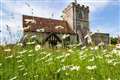 People urged to join summer nature count in churchyards