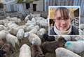 Fears for pregnant ewes ‘harassed by dogs off lead’