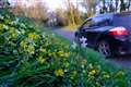 Councils transform road verges for wildflowers as public backs fight for nature