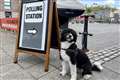 Dogs, snow and a polling station in a car boot among unusual voting day sights