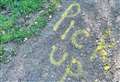 Pick it up! Dog poo highlighted by spray painter in park