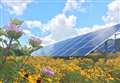 £40m solar farm would power 26k homes