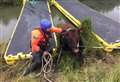 Cow saved from watery ditch