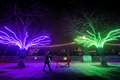 In Video: Winter Light exhibit illuminates South Bank
