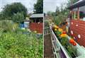 Project Kent transforms community garden