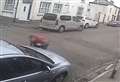 Knifeman caught on CCTV before stabbing pal