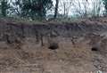 Fines for pair who dug out badger setts