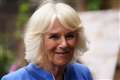 ‘Everyone seems to be isolating’ says Camilla as she visits Hay-on-Wye