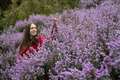 National Trust promises ‘incredible’ show of blossom despite cold snap and snow