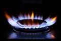 Four more energy suppliers collapse amid soaring gas prices