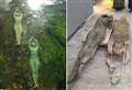 Sculptor’s offer as famous Kent river statues damaged beyond repair