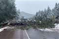 Lucky escape for US driver as tree falls on vehicle