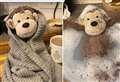 Lost toy's heartwarming adventures go viral