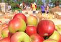 Jobs bonanza to help bring in fruit harvest