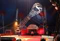 Circus will have to find new field after noise criticism