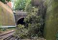 Rail disruption after lorry hits bridge and tree falls on tracks