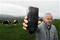 Christmas carols help soothe ‘Baileys Ladies’ on Irish dairy farm