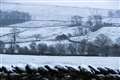 Amber alert for parts of northern England as heavy snow forecast