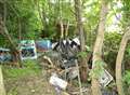 Mammoth task to clear up woodland 