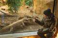 Dougie Poynter from McFly meets Komodo dragon at London Zoo