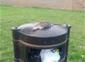 Dead rat left on unemptied bin for days