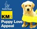 Help our appeal to sponsor a Guide Dog