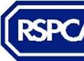 RSPCA appeal to parents over airgun attacks