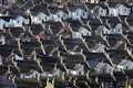 Rate rise spells higher mortgage outgoings amid living costs squeeze