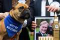 Sir David Amess’s French bulldog crowned Westminster Dog of the Year