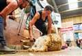 Farmer sets epic sheep-shearing record