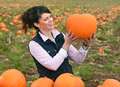 Wheelbarrows found... but pumpkins still missing after theft