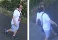 Appeal after man reportedly exposes himself in alleyway in broad daylight