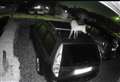 ‘They had no respect for my Mondeo:’ Playful foxes caught on film