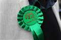 Green Party to review health policy after pledging to reduce caesarean sections