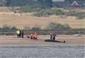 Seven whales die off the Kent coast amid rescue efforts