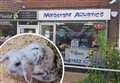 'Rabbit welfare complaints crippling my store'