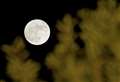 When and how to see August’s bright and brilliant supermoons