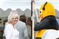 Camilla becomes president of beekeeping development charity on World Bee Day