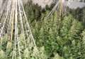 Police uncover cannabis factory