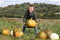 In Pictures: Plumpest pumpkins being picked ahead of Halloween carve